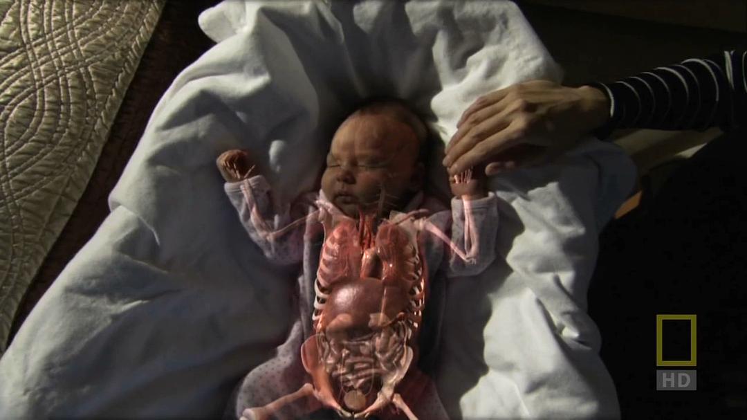 人体内旅行 Inside the Living Body