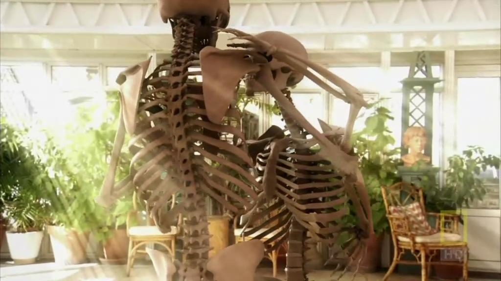 人体内旅行 Inside the Living Body