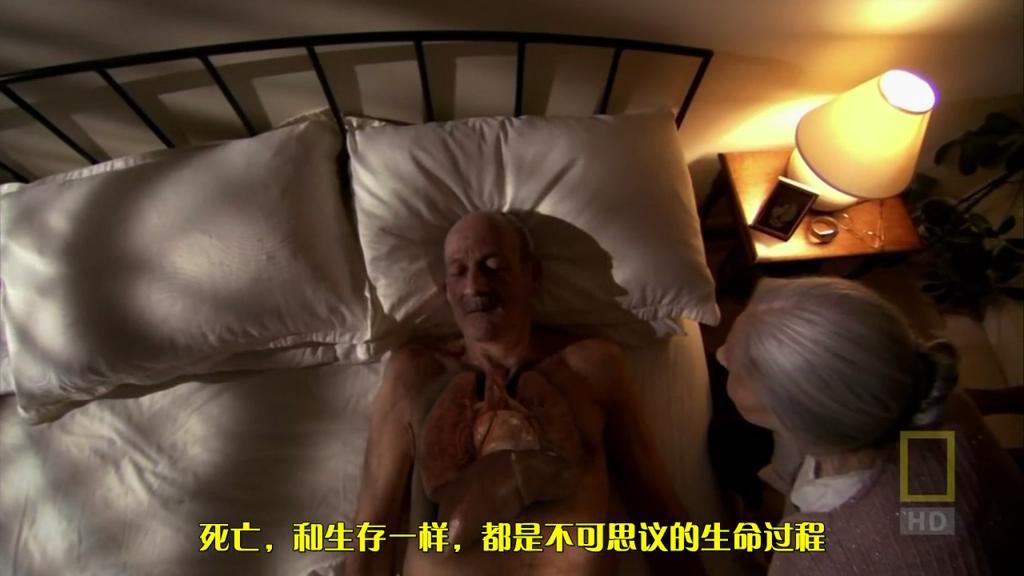 人体内旅行 Inside the Living Body