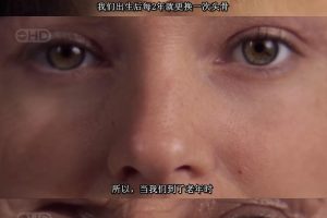 人体内旅行 Inside the Living Body