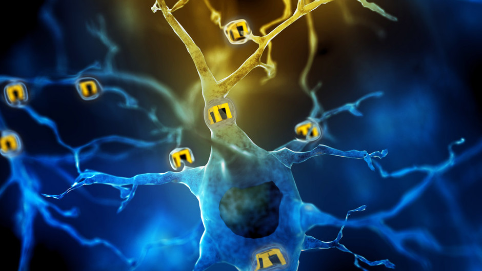 脑力大挑战 Test Your Brain