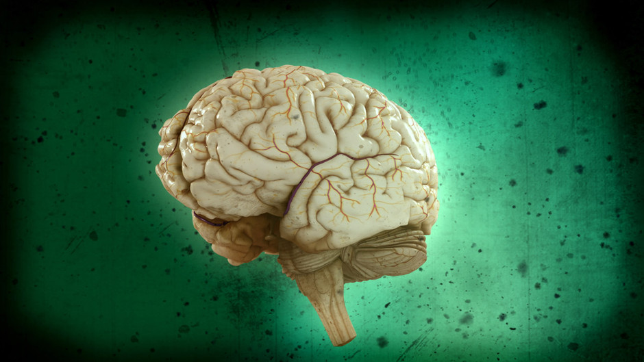 脑力大挑战 Test Your Brain