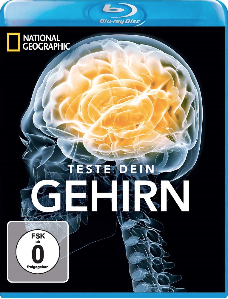 脑力大挑战 Test Your Brain