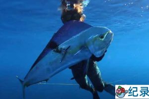 赶海捕捞纪录片《深海盛宴》第6季66集中字 1080高清纪录片解说素材百度云盘下载