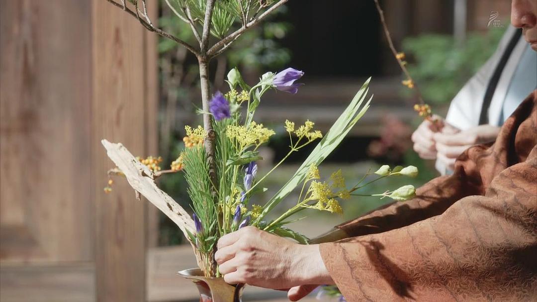 女城主直虎 おんな城主 直虎