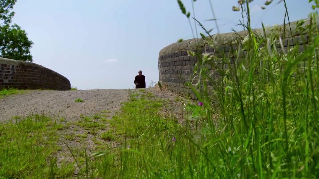 金雀花王朝 The Plantagenets