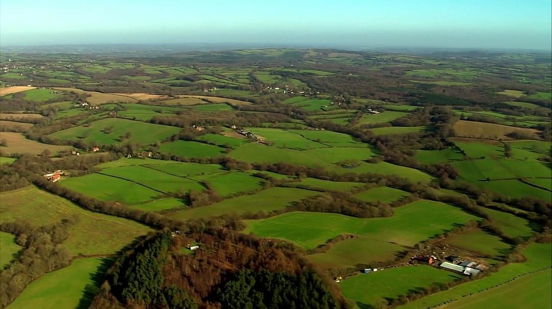 金雀花王朝 The Plantagenets