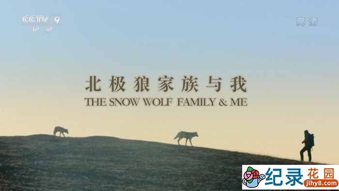 央视自然生态纪录片《北极狼家族与我 Snow Wolf Family and Me》全3集中字 TS/蓝光高清纪录片资源百度云盘下载