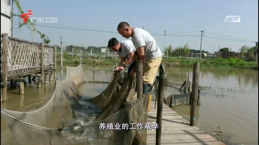 老广的味道 第二季