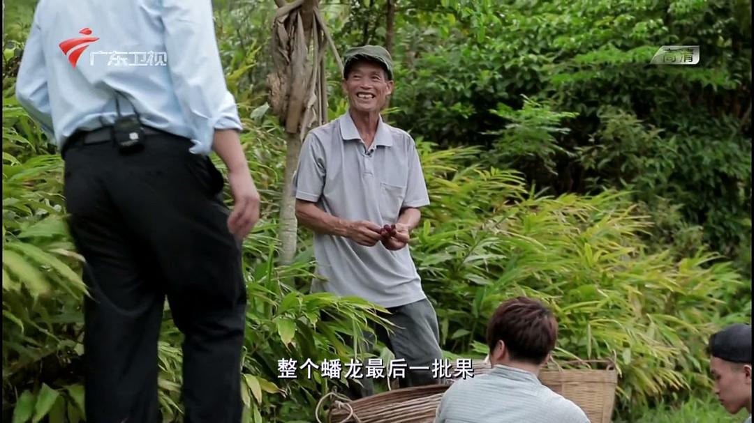 老广的味道 第二季