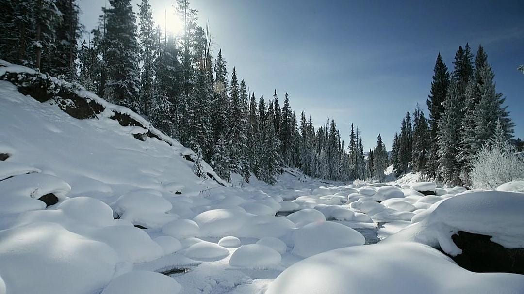 黄石公园 Yellowstone