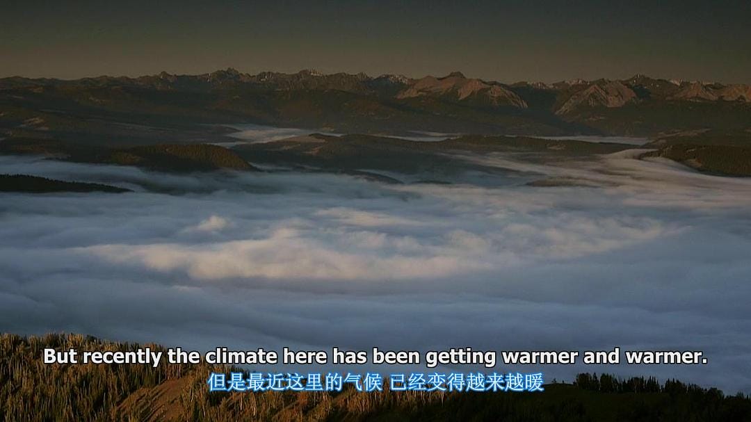 黄石公园 Yellowstone