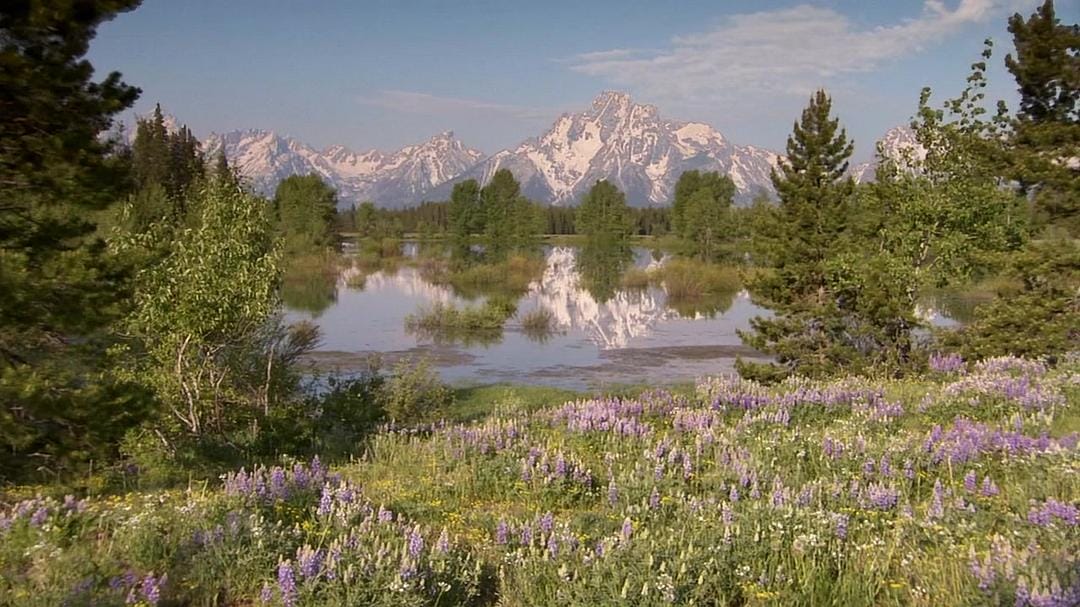 黄石公园 Yellowstone