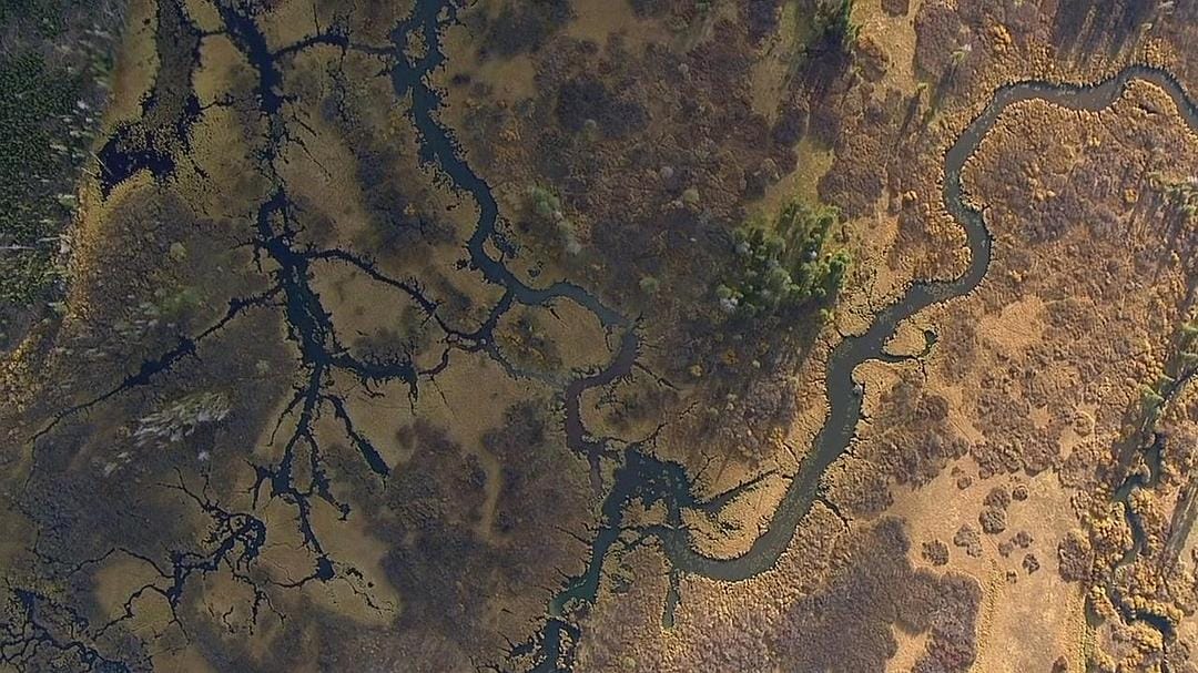 黄石公园 Yellowstone