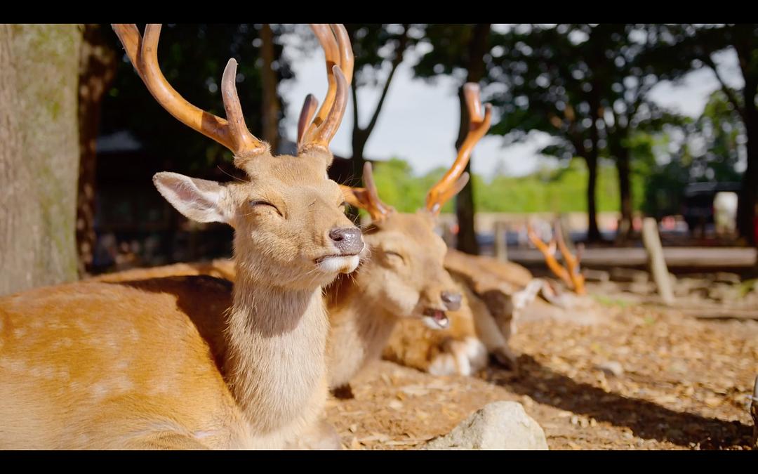 地球改变之年 The Year Earth Changed