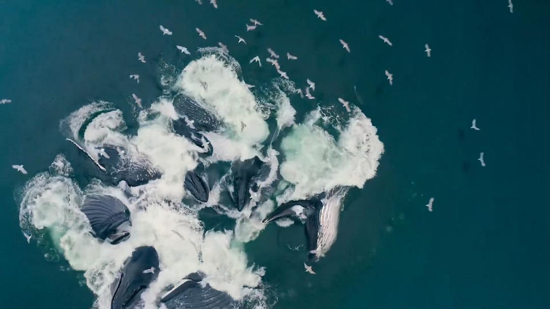 地球改变之年 The Year Earth Changed