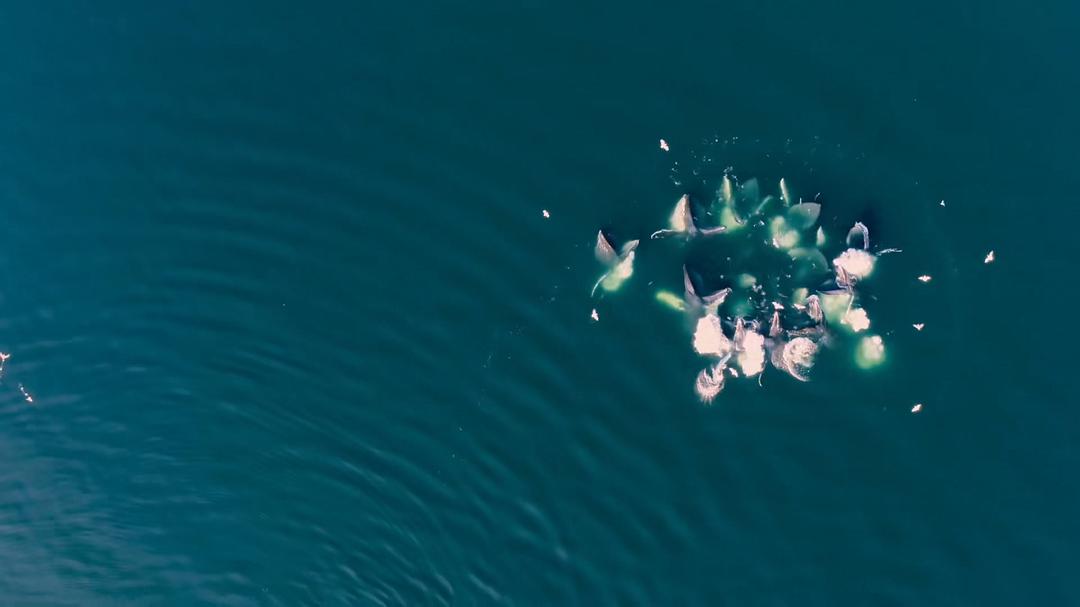 地球改变之年 The Year Earth Changed