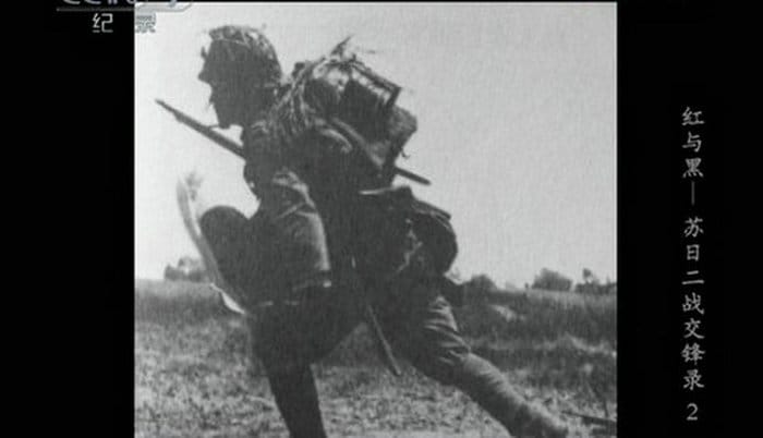 红与黑-苏日二战交锋录