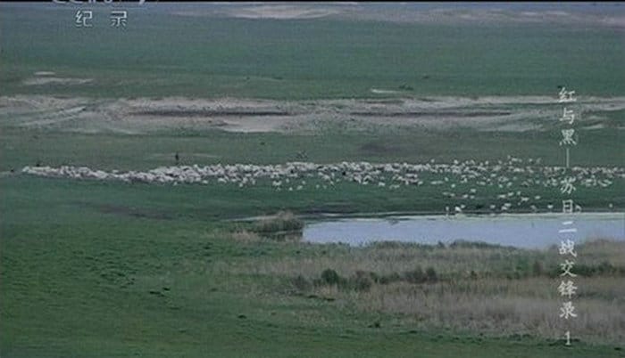 红与黑-苏日二战交锋录