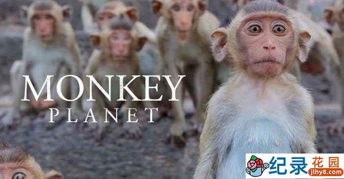 BBC生物纪录片《灵长星球 Monkey Planet》全3集 720P/1080i高清纪录片百度云下载