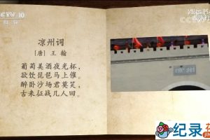 央视人文旅行纪录片《跟着书本去旅行 寻访河西走廊》全5集 TS/蓝光高清纪录片资源百度云盘下载