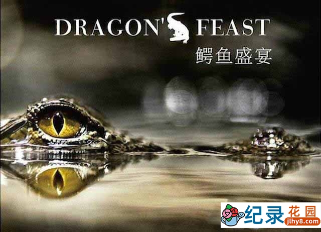 国家地理生命探索纪录片《鳄鱼盛宴 Dragon Feast》全1集 720P/1080i高清纪录片百度云下载