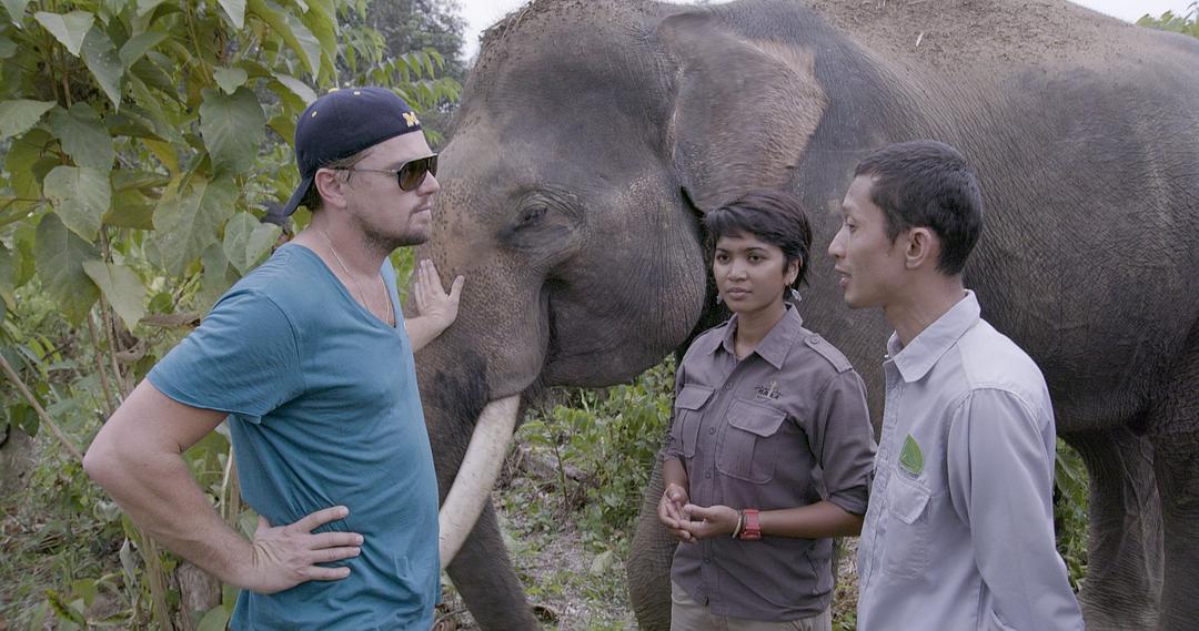 洪水泛滥之前 Before the Flood