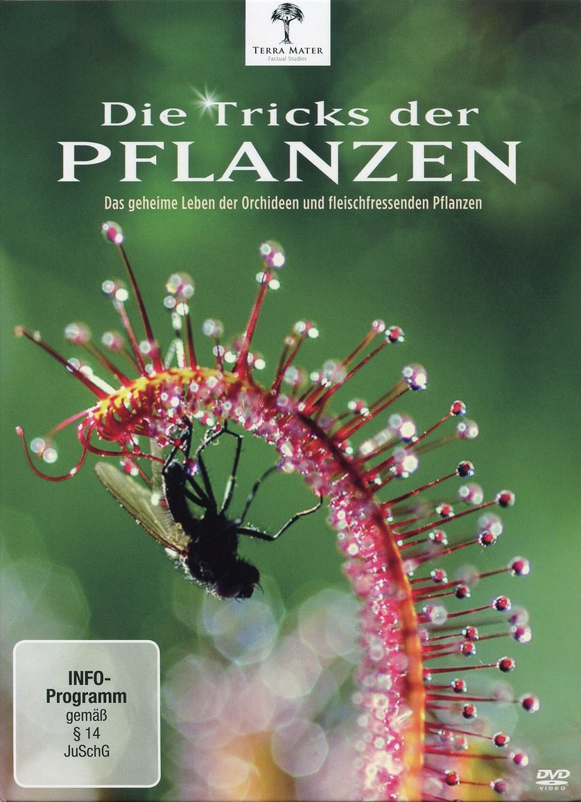 植物的秘密武器 Die Tricks der Pflanzen