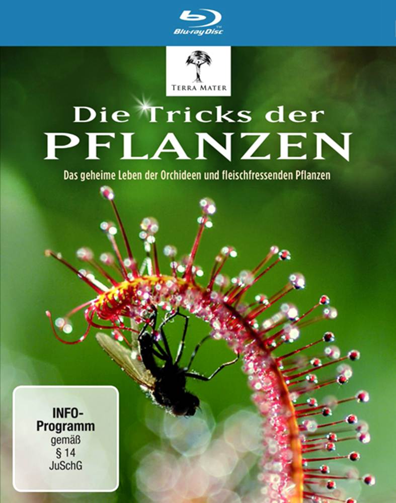 植物的秘密武器 Die Tricks der Pflanzen