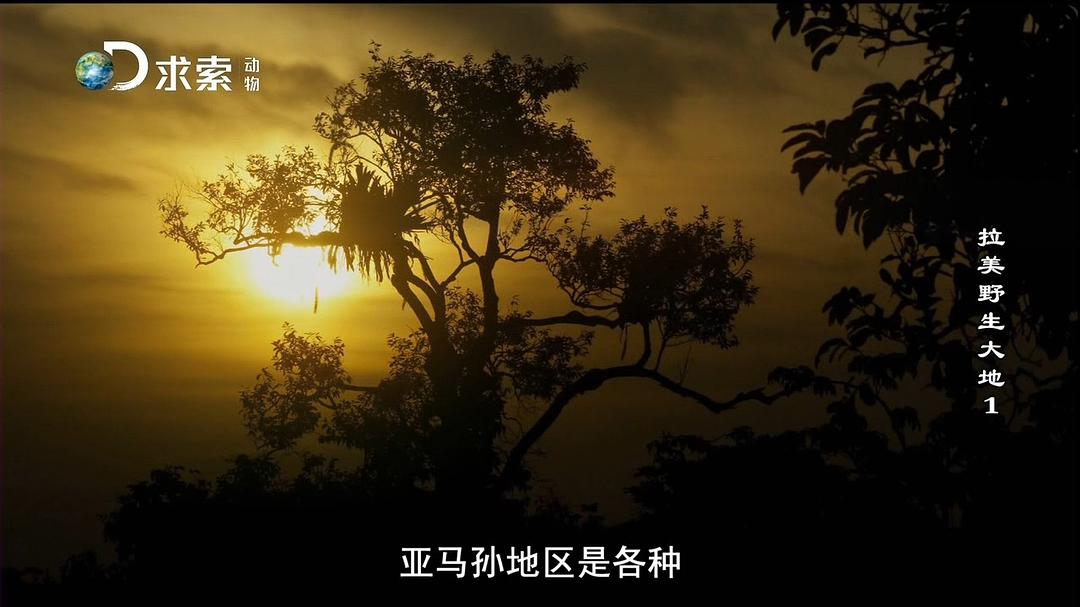 拉美野生大地 第一季 Wildest Latin America Season 1