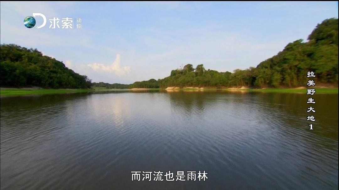 拉美野生大地 第一季 Wildest Latin America Season 1