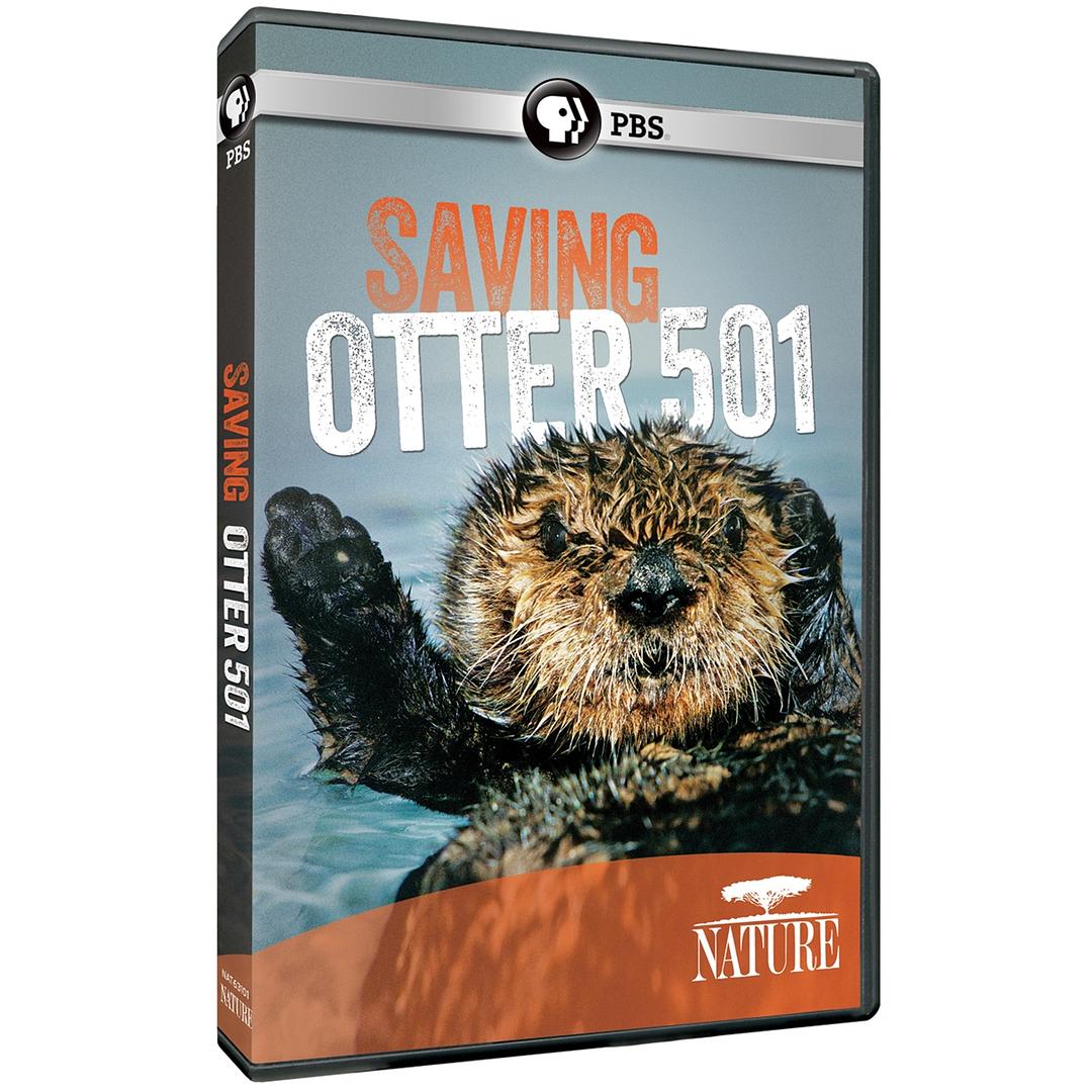 拯救小海獭 Nature：Saving Otters