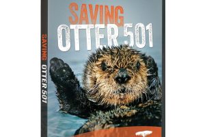 拯救小海獭 Nature：Saving Otters