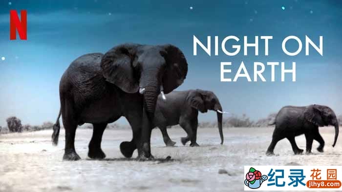 Netflix自然生态纪录片《地球的夜晚 Night on Earth》全6集 720P/1080i高清纪录片资源百度云盘下载