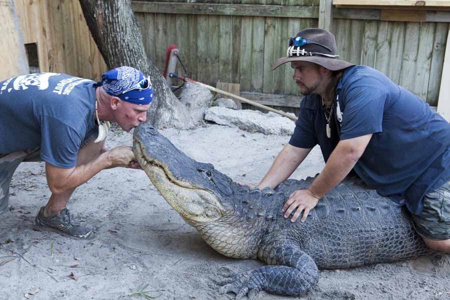 鳄鱼保护纪录片《捕鳄克星》第3季全9集中字 纪录片解说素材百度云盘下载 1080/MP4/21.7G
