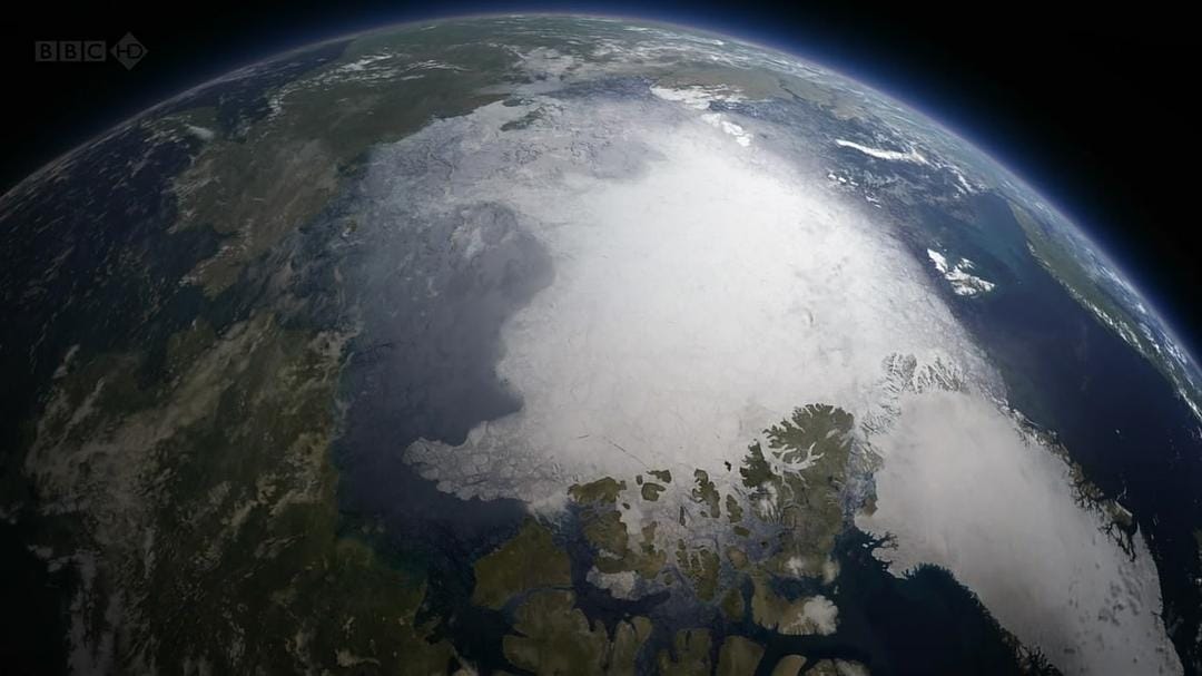 大卫爱登堡野外探索60年 Attenborough: 60 Years in the Wild