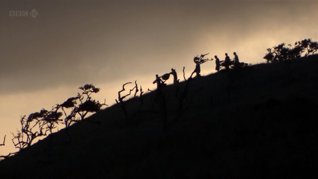 大卫爱登堡野外探索60年 Attenborough: 60 Years in the Wild