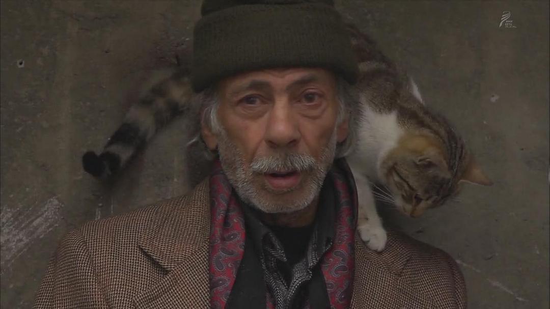 岩合光昭的猫步走世界 岩合光昭の世界ネコ歩き