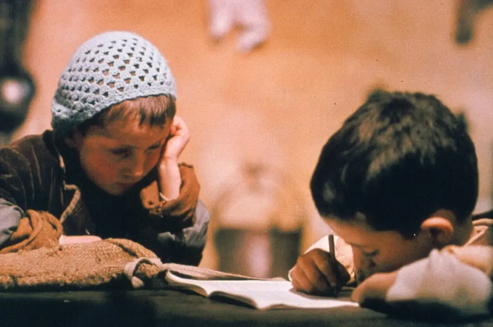 木屐树 L'albero degli zoccoli