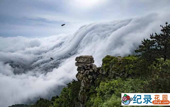 CCTV央视人文地理纪录片《庐山：人文圣山》全12集 720P/1080i高清纪录片资源百度云盘下载