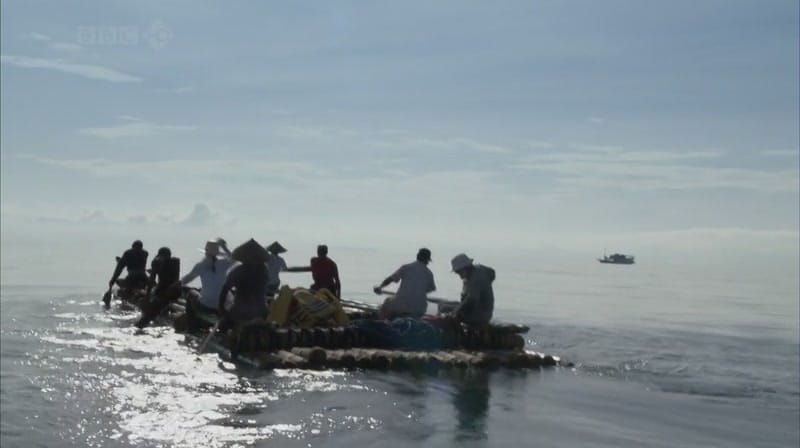 奇妙的人类旅程 The Incredible Human Journey