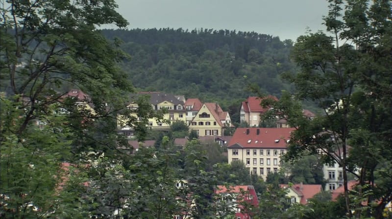 奇妙的人类旅程 The Incredible Human Journey