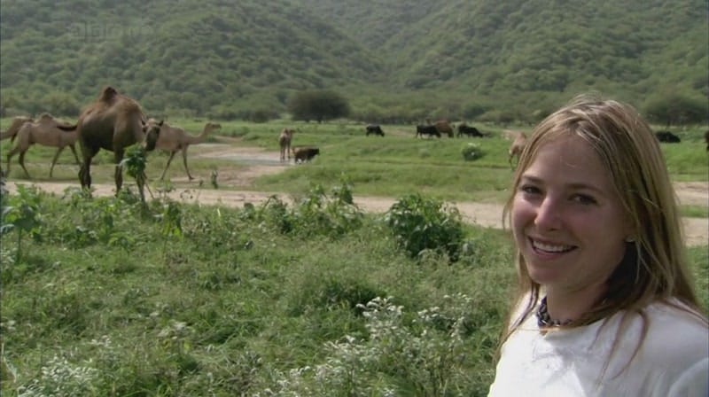 奇妙的人类旅程 The Incredible Human Journey