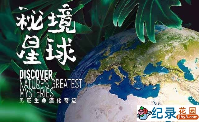 生命演化纪录片《秘境星球 Mysterious Plane》全5集 720P/1080i高清纪录片资源百度云盘下载