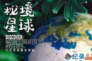 生命演化纪录片《秘境星球 Mysterious Plane》全5集 720P/1080i高清纪录片资源百度云盘下载
