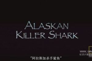 阿拉斯加杀手鲨鱼 Alaskan Killer Shark