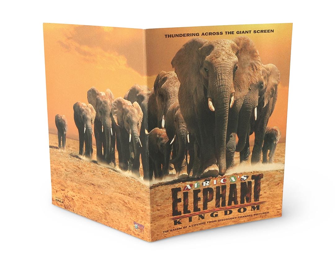 非洲的大象王国 Africa's Elephant Kingdom