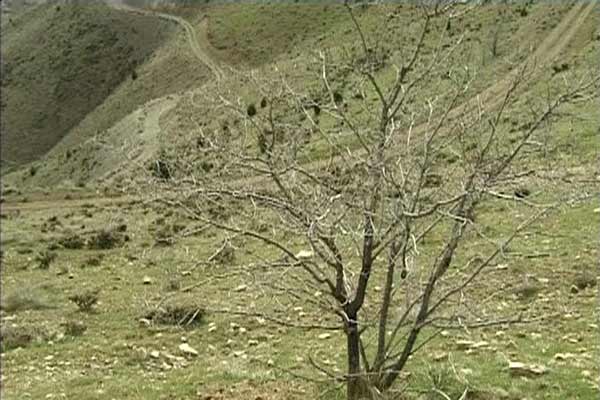 十段生命的共振 10 on Ten