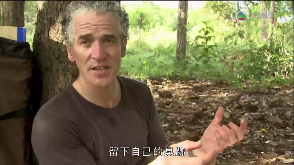 黑暗中的自然界 The Dark: Nature's Nighttime World