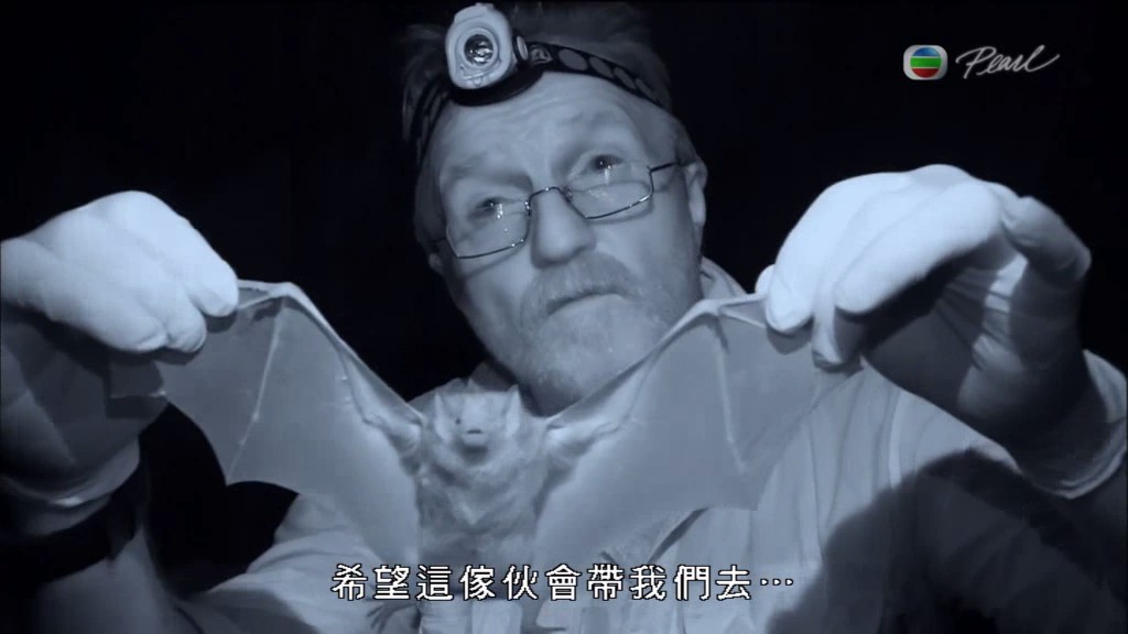 黑暗中的自然界 The Dark: Nature's Nighttime World